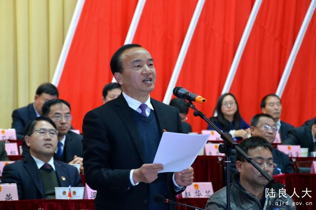 县人大常委会主任骆德刚在人大第二次会议闭幕式上作讲话