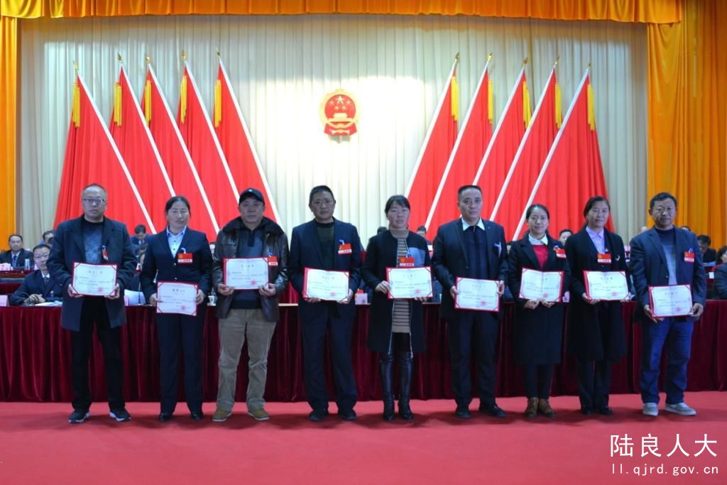 优秀人大代表接受表彰